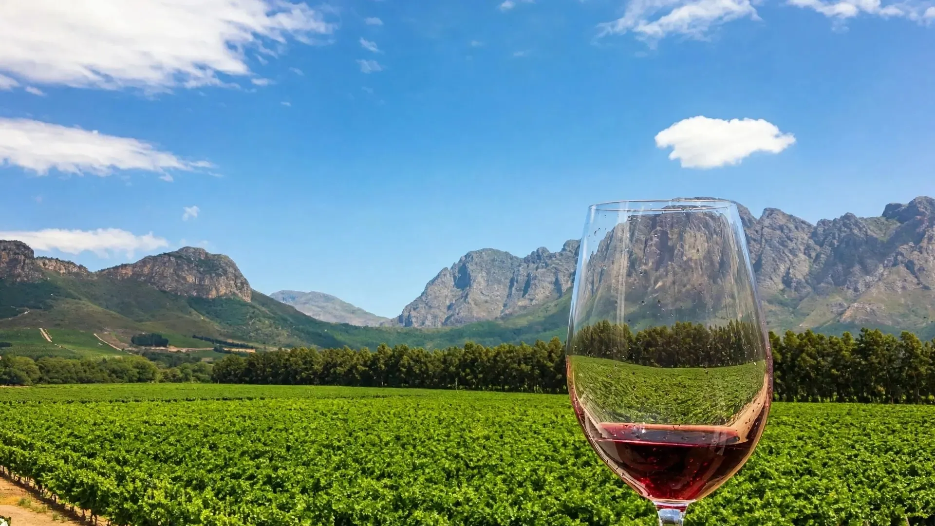 Winelands Tours