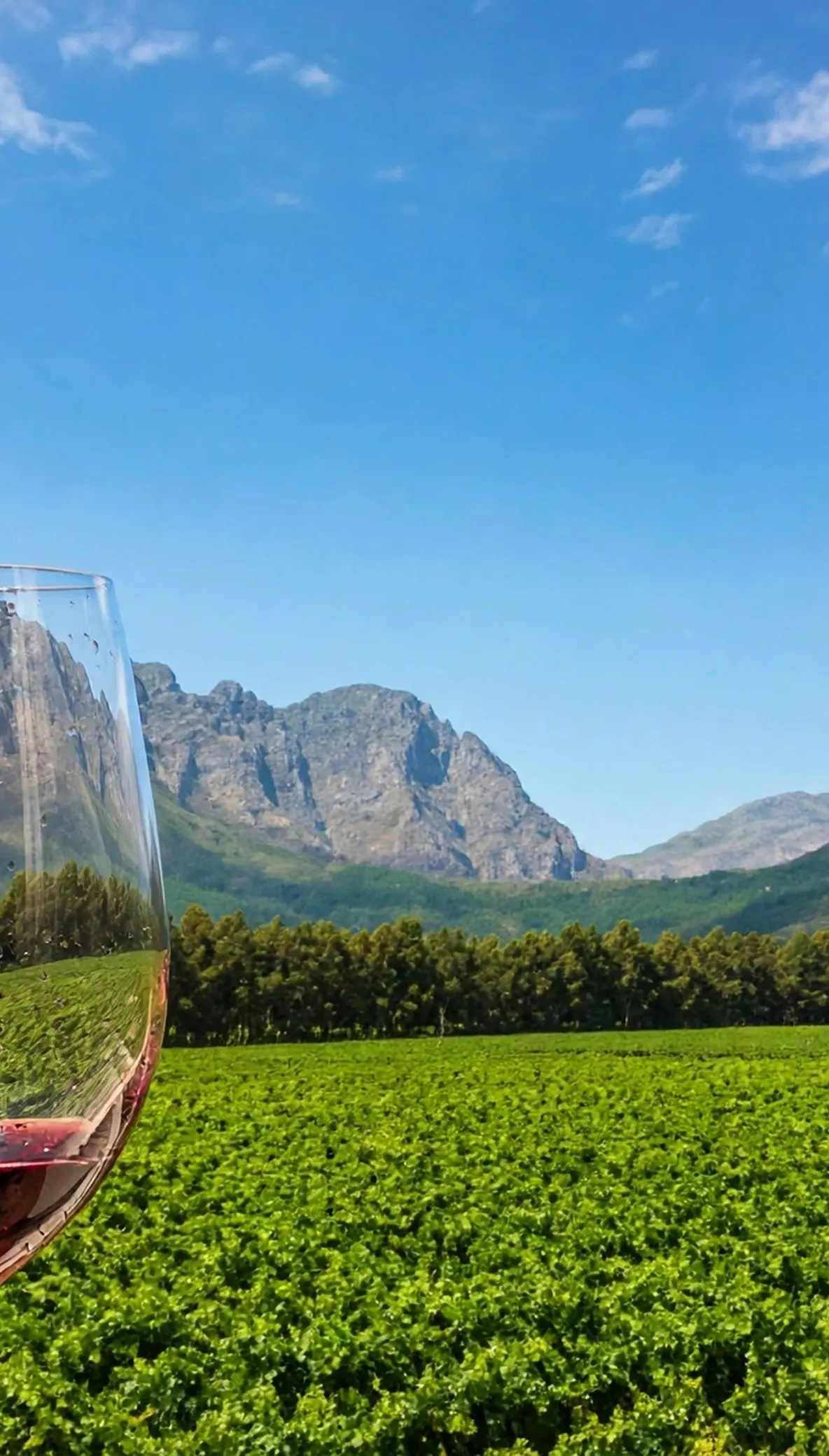 Winelands Tours